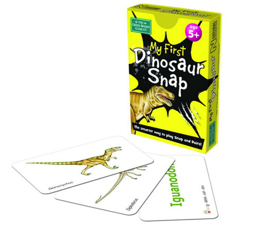 My First Dinosaur Snap Cards