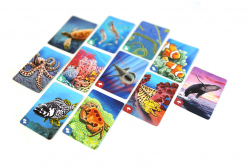 Ecosystem: Coral Reef Ecosystem: Coral Reef