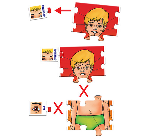 Frank Educational Aids - Parts of My Body