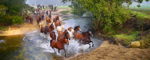 Ken Duncan 748pc - Round Up, Glenworth Valley Puzzle Ken Duncan 748pc - Round Up, Glenworth Valley Puzzle