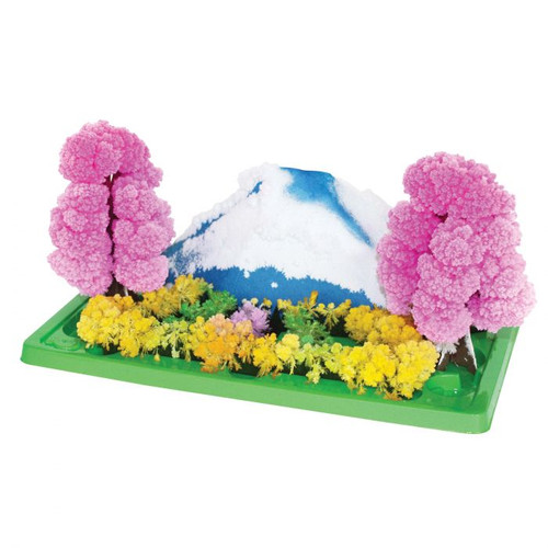 Discovery Zone - Magic Garden Discovery Zone - Magic Garden