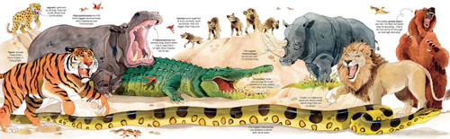 Usborne - Big Book of Animals Usborne - Big Book of Animals