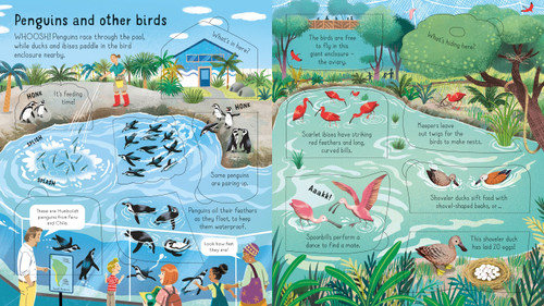Usborne - Look Inside a Zoo Usborne - Look Inside a Zoo