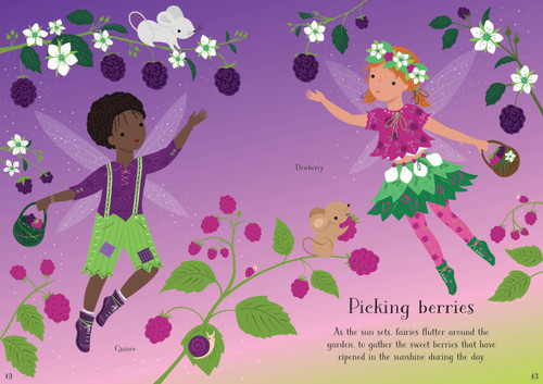 Usborne - Little Sticker Dolly Dressing - Garden Fairy Usborne - Little Sticker Dolly Dressing - Garden Fairy
