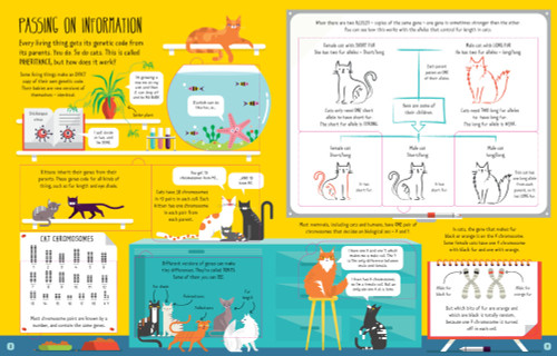 Usborne - Lift-the-Flap - See Inside Genes & DNA Usborne - Lift-the-Flap - See Inside Genes & DNA