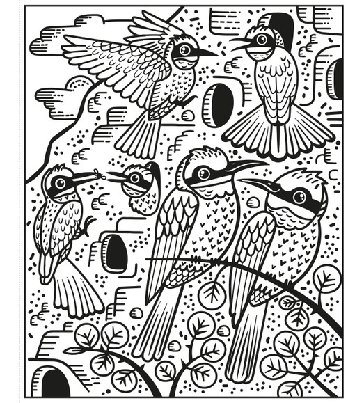 Usborne - Birds Magic Painting Book Usborne - Birds Magic Painting Book