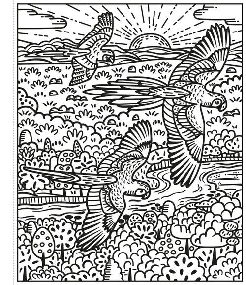 Usborne - Birds Magic Painting Book Usborne - Birds Magic Painting Book