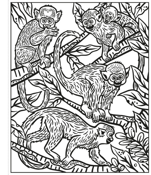 Usborne - Rainforest Magic Painting Book