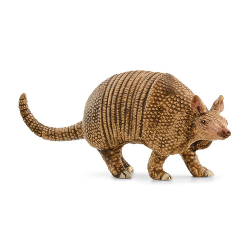 Schleich Wild Life - Armadillo | 14874