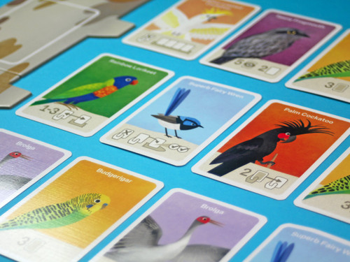Busy Beaks Busy Beaks
