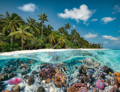 Ravensburger 2000pc - Diving in the Maldives Puzzle Ravensburger 2000pc - Diving in the Maldives Puzzle