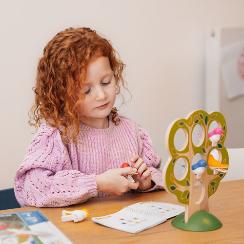 Smart Games -  5 Little Birds Smart Games -  5 Little Birds