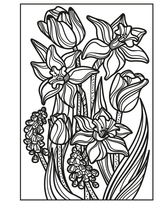 Usborne - Mini Books: Flowers Magic Painting Book Usborne - Mini Books: Flowers Magic Painting Book