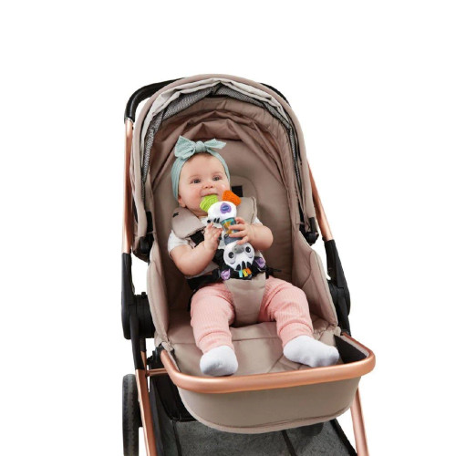 VTech - Shaking Sounds Zebra