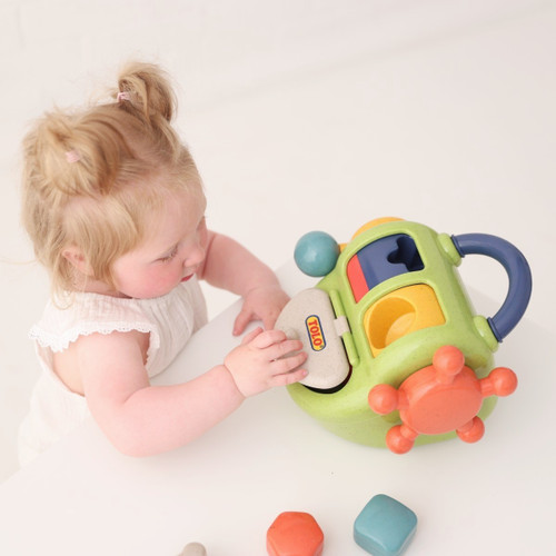 Tolo - Bio Activity Shape Box Tolo - Bio Activity Shape Box
