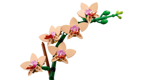 LEGO® Botanicals - Mini Orchid 10343 LEGO® Botanicals - Mini Orchid 10343