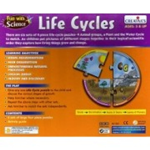 Creative's - Life Cycles