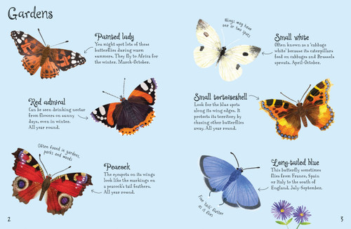 Usborne - Mini Books - Butterflies to Spot