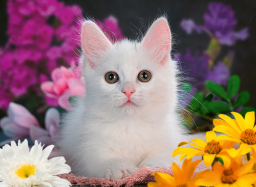 Ravensburger 100pc - Glitter Cat Puzzle