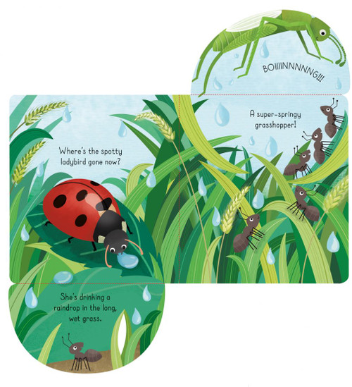 Usborne - Little Lift and Look Bugs Usborne - Little Lift and Look Bugs
