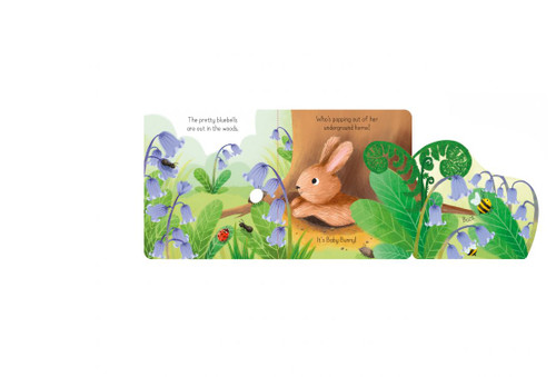 Usborne - Little Lift and Look Baby Bunny Usborne - Little Lift and Look Baby Bunny