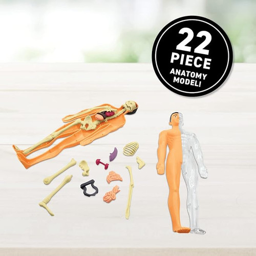 Abacus - Virtual Reality - Human Body