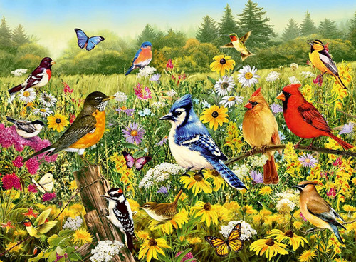 Ravensburger 500pc - Birds in the Meadow Puzzle Ravensburger 500pc - Birds in the Meadow Puzzle