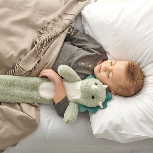 Aroma Home Kids - Animal Long Hot Water Bottle - Green Dino Aroma Home Kids - Animal Long Hot Water Bottle - Green Dino