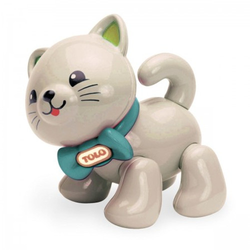 Tolo - First Friends Kitten