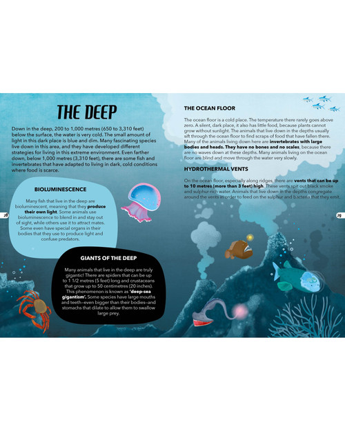 Sassi Travel, Learn and Explore - The Sea Puzzle, 205 pcs