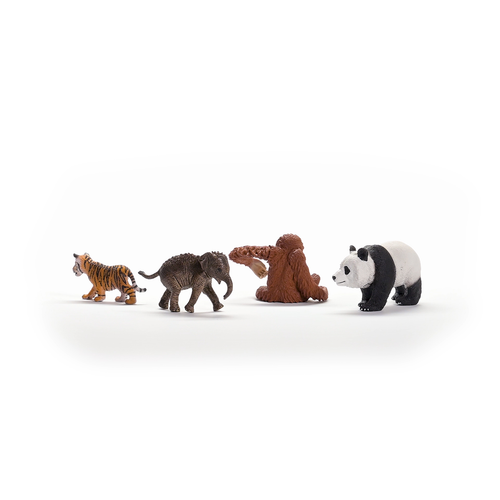 Schleich Wild Life - Asia Starter Set 42736