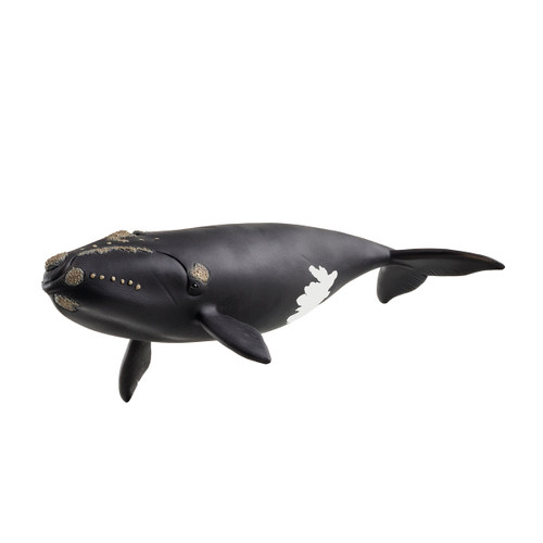 Schleich - North Atlantic Right Whale 14878