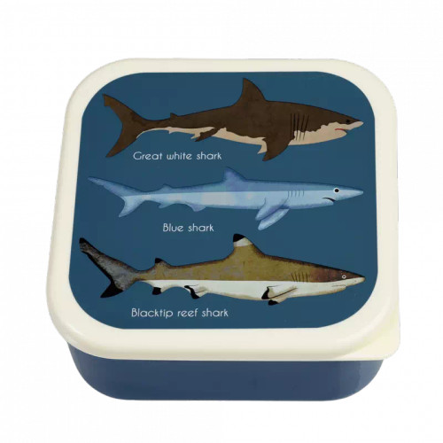 Rex London - Snack Boxes - Sharks (Set of 3)