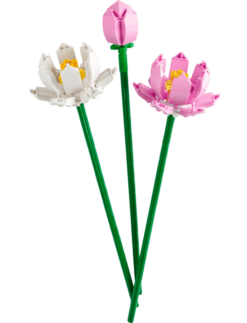 LEGO® Botanicals - Lotus Flowers 40647