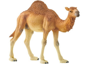 Schleich - Dromedary**shop wear**