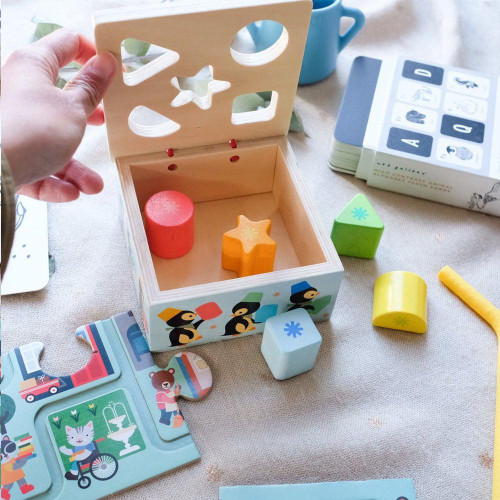 Djeco - Geo Junzo Wooden Shape Sorting Box