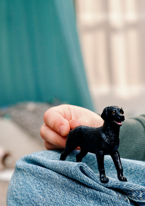 Schleich - Black female Labrador Retriever 14923