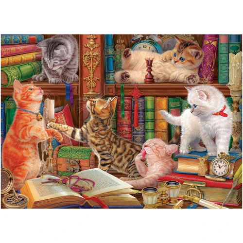 Eurographics 1000pc - Library Kittens Puzzle