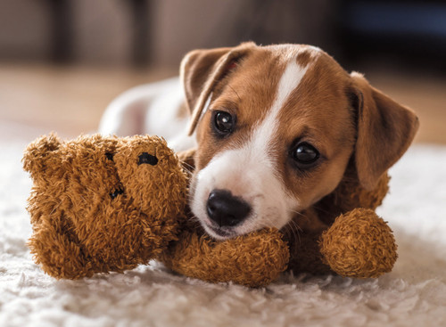 Ravensburger 500pc - Cuddle Buddies Puzzle