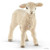 Schleich Farm World - Lamb 13883