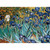 Eurographics 1000pc - Van Gogh, Irises Puzzle