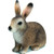 Schleich Wild Life - Wild Rabbit 14631