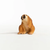 Schleich - Slow Loris | 14852