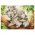 Goki - Travel Size Mini Australian Animals Puzzle 24pcs - Koala