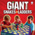 Giant Snakes and Ladders