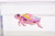 Little Live Pets - Lil' Turtle S10 - Beach Bloom (Pink)