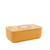 Sassi RPET Lunch Box - Chompy The Lion