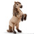 Schleich Horses - Mini Shetty Stallion 13775