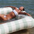 Sunnylife - Luxe Twin Hammock Float - The Vacay Sunnylife - Luxe Twin Hammock Float - The Vacay