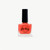 Oh Flossy - Nail Polish Set - Beach Club
